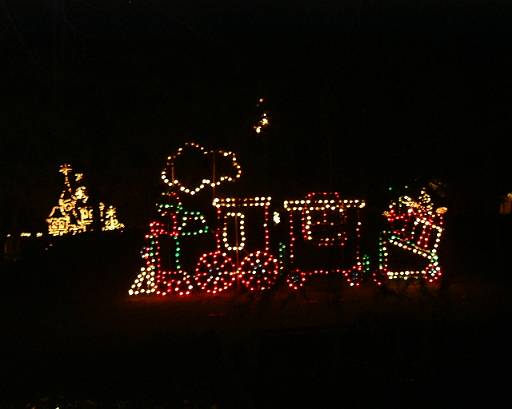 dscf0035.jpg - Christmas lights in Hopelands